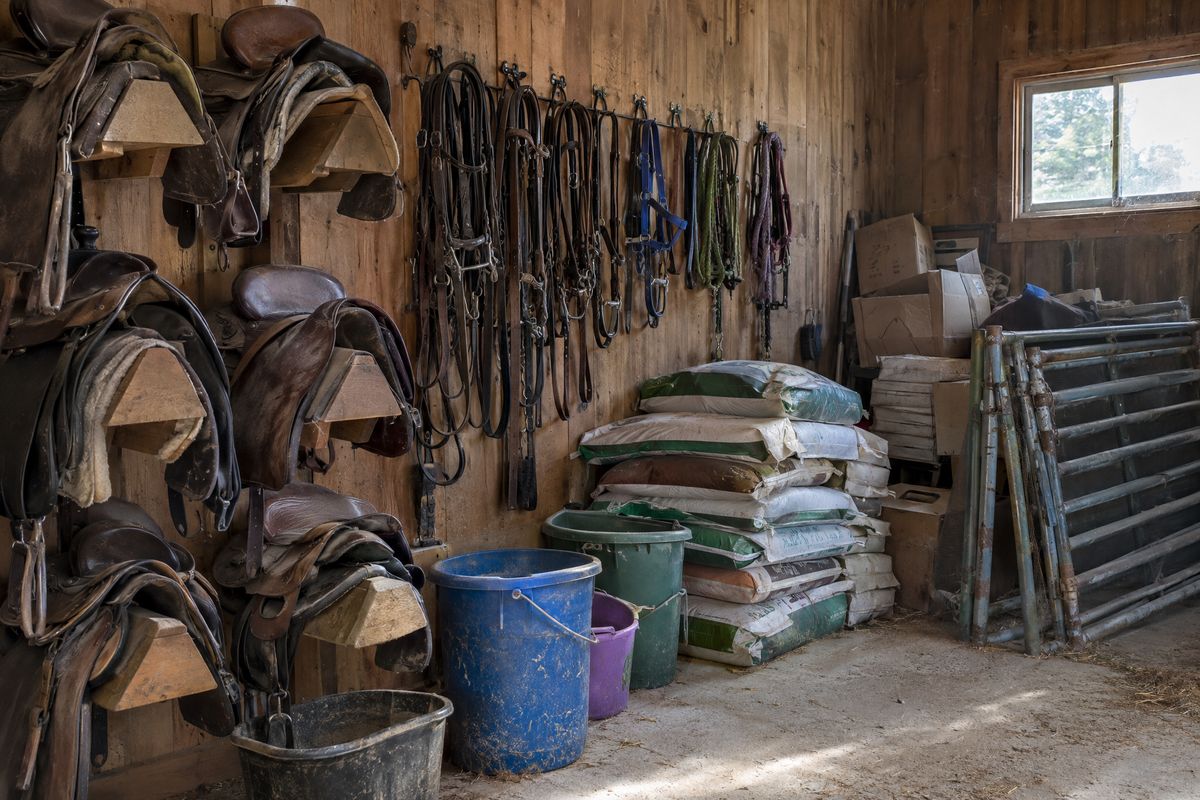 Saddles on racks, bridles, feed sacks, buckets and boxes crowded into a dusty barn tack room